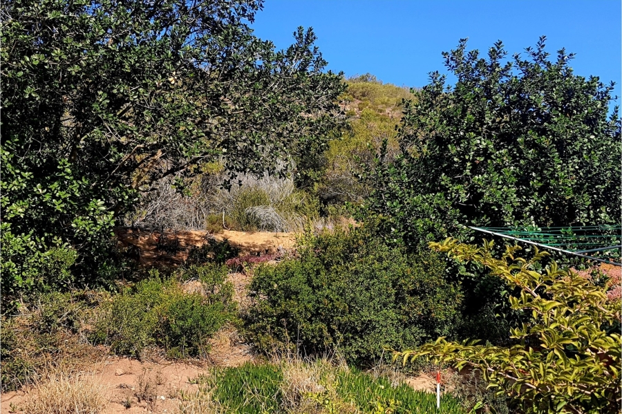 0 Bedroom Property for Sale in Vakansieplaas Western Cape